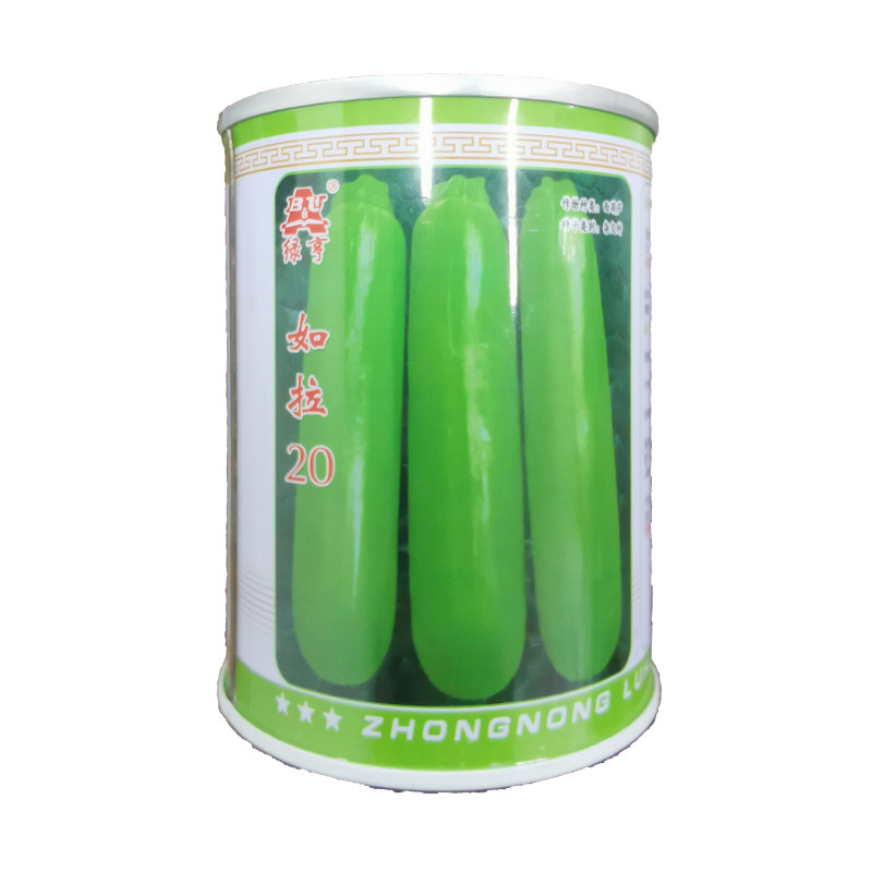 耐低温油亮下瓜快西葫芦种子