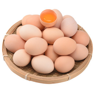 蛋仓生新鲜土鸡蛋30枚礼盒溏心蛋无抗生素36小时现捡源头直发顺丰