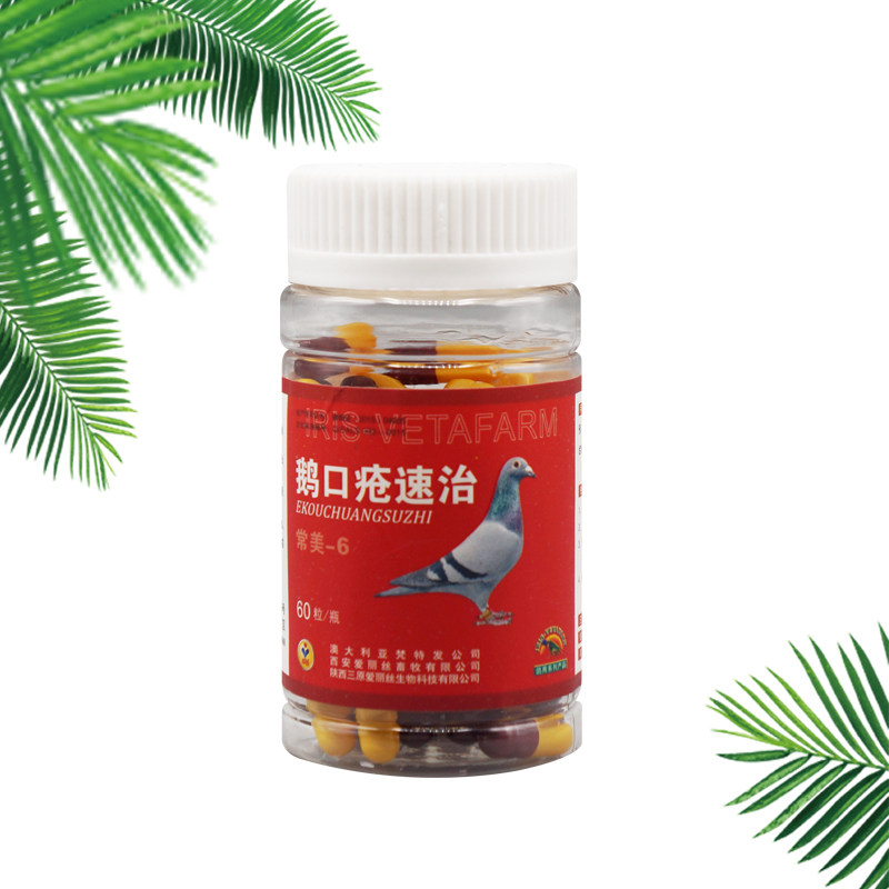 拜耳电解质60ml比赛鸽信鸽子用电解液鸽药恢复体能补充液
