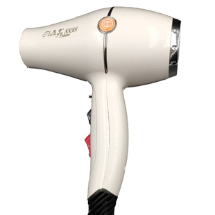 天宇吹风机8898发廊发型师专用电吹风2300W迷你风筒大功率抗摔型