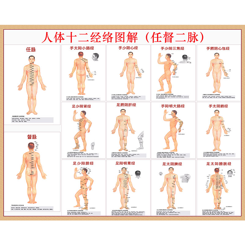 十二经络图海报人体十四经络穴位示意图大挂图14条走向图经脉穴位