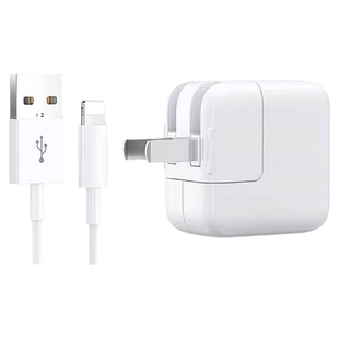 正品ipad第5代4代A1822快充数据线A1823充电线器A1458适用苹果A1474平板A1460快充iapd平板12w充电器官方正品