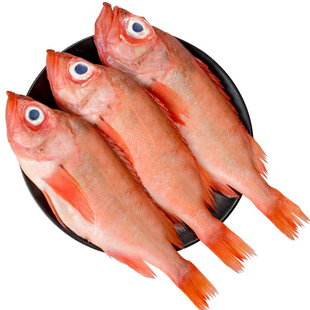 特大红石斑鲜活冷冻富贵鱼红鱼大眼鱼斑鱼海鱼速冻水产过年送好礼