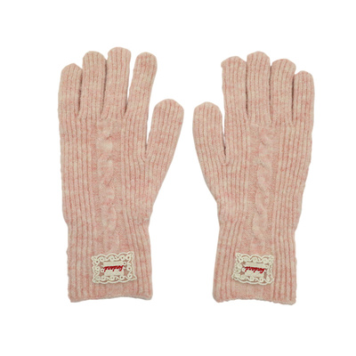 秋冬可触屏加厚保暖手套女