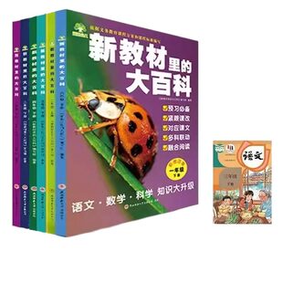 新教材里的大百科2026年新版同步教材一二三四五六年级下册语文数学科学课文知识拓展百科常识小学生阅读书籍同步课本里的百科全书
