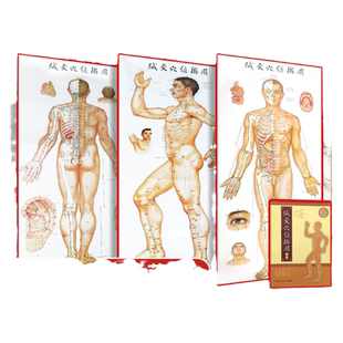【1m*0.5m】3张 针灸穴位挂图全彩彩图版 正面侧面背面三张全开本耳穴足穴 靳士英人体穴位中医学经络腧穴学书籍人民卫生出版社