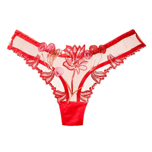 2条性感内裤女士勾人蕾丝透明2026新款丁字裤女内女式贵妇高级感