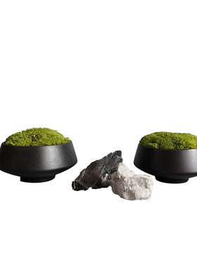 冠群家居永生苔藓装饰摆件