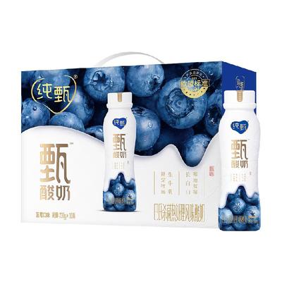 蒙牛纯甄甄酸奶蓝莓味230g×10瓶/箱