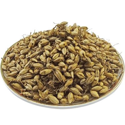 炒麦芽 中药材 天然野生纯新货 麦芽 大麦芽 麦芽 500克 包邮