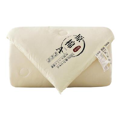 A类母婴级大豆纤维被四季通用春秋被子冬被加厚被芯双人单人原棉