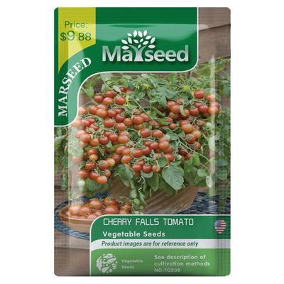 盆栽新品进口超高产番茄种子籽