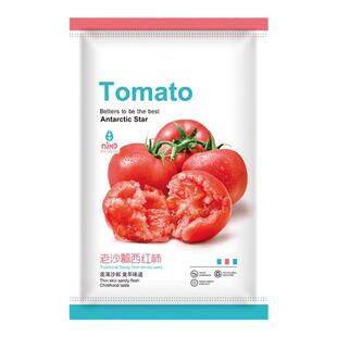 西红柿种子老品种铁皮番茄沙瓤农家大西红柿种籽大全春播菜种孑子