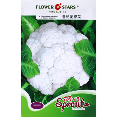 雪妃冬季阳台盆栽蔬菜种子