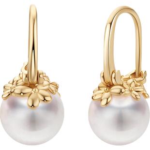 Meluxe繁花天然海水akoya珍珠耳钉女18K金饰品生日礼物高级气质