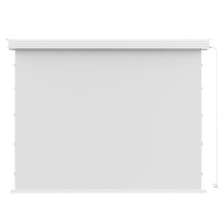 艾瑞尔电动投影幕布拉线布洛克嵌入式隐藏菲涅尔抗光幕遥控语音客厅家用高清自动升降100/120寸4K投影仪幕布