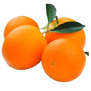 正宗赣南信丰脐橙 果农产地直发未受冻害 10斤手剥橙甜橙整箱包邮