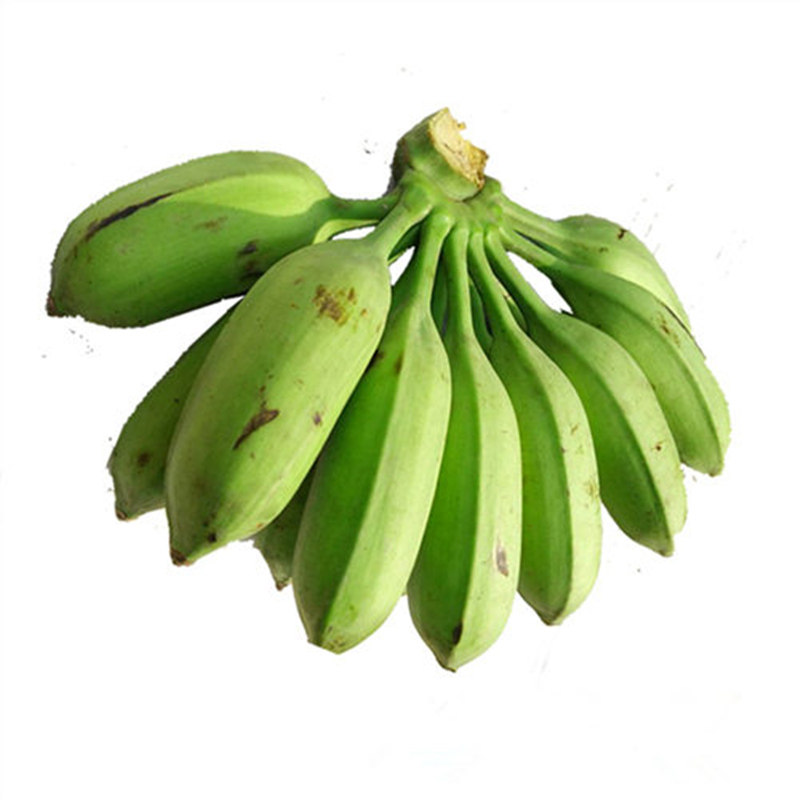 包邮广东高州芭蕉大蕉plantain