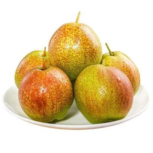 新疆库尔勒玉露香梨礼盒应季水果新鲜个大脆甜送礼优选顺丰包邮