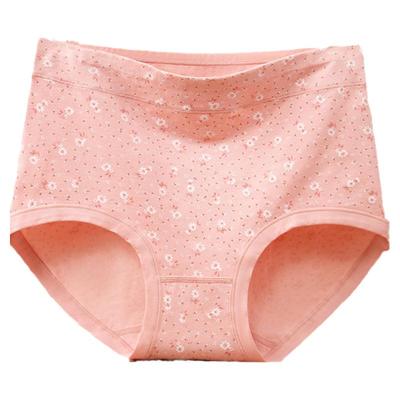 南极人妈妈内裤加肥加大女士大码