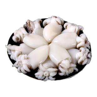 墨鱼仔新鲜小墨鱼无冰鲜活冷冻乌贼小鱿鱼捞汁小海鲜商用海鲜水产