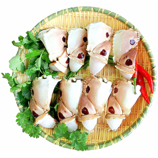 【5斤装 冰少】大号元宝蟹脚面包蟹钳新鲜冷冻水产馒头蟹顺丰发货