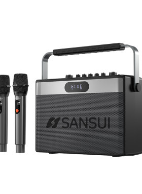 SANSUI山水双低音广场舞家用K歌