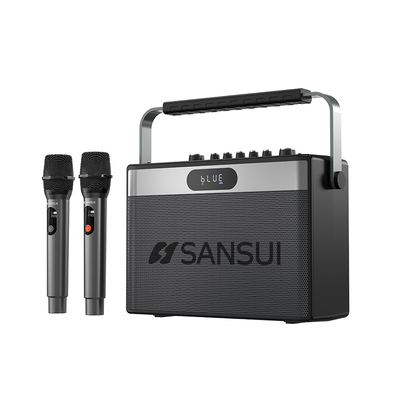 SANSUI山水双低音广场舞家用K歌