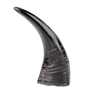 天然黑水牛角尖实心原料DIY手工艺胚料雕刻印章刀柄手串佛珠材料