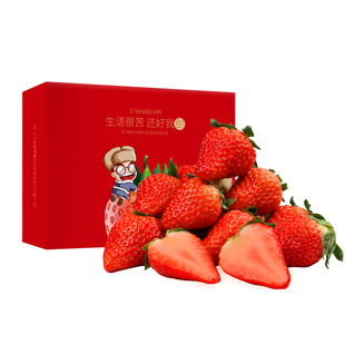 【团长专享】丹东东港99草莓3斤新鲜牛奶红颜大草莓九九水果