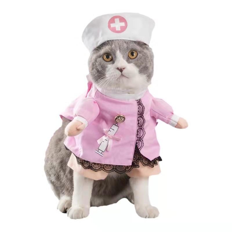 宠物猫咪狗狗网红搞怪搞笑衣服恶搞幼猫抖音春夏可爱泰迪柯基柴犬