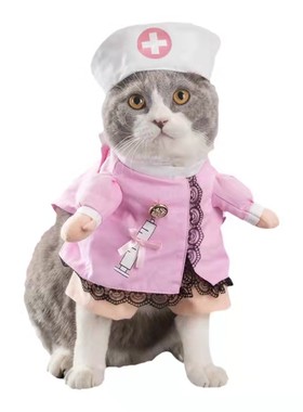 宠物狗狗猫咪恶搞变装服抖音同款