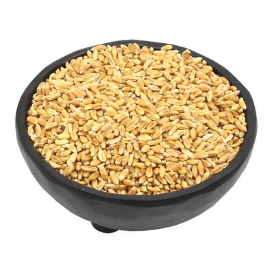 食味草精选浮小麦500克新货干品