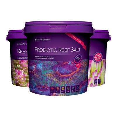 紫色森林海盐元素配比合理