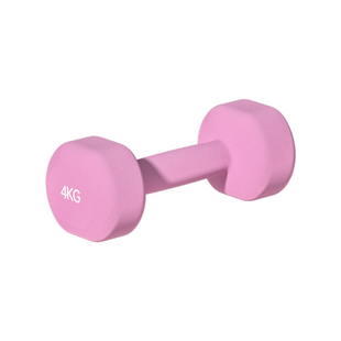 哑铃女士健身家用2kg一对实心铸铁健身器材女生5/3/1kg小纯钢瑜伽