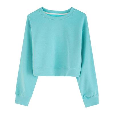 百思朵早秋季湖蓝色INS高腰卫衣