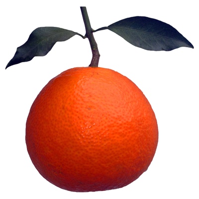 四川蒲江爱媛38号果冻橙自家果园