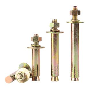 电梯专用膨胀螺栓国标壁虎螺丝加重加厚型拉爆金属锚栓8M10M12M16