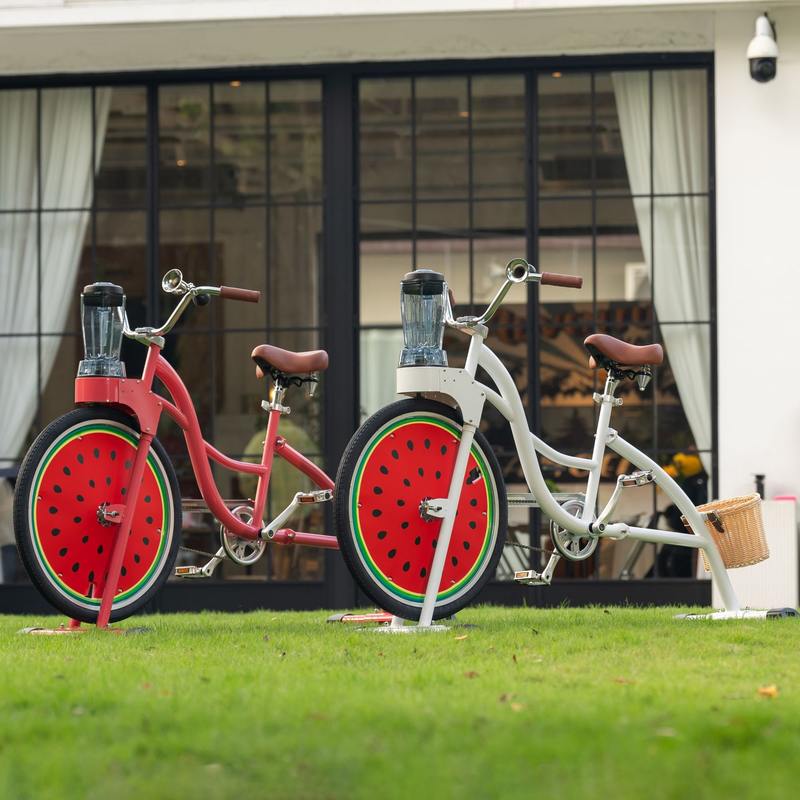 EXI榨汁机自行车平衡搅拌机冰沙橙汁搅拌机榨汁机成人踏板自行车