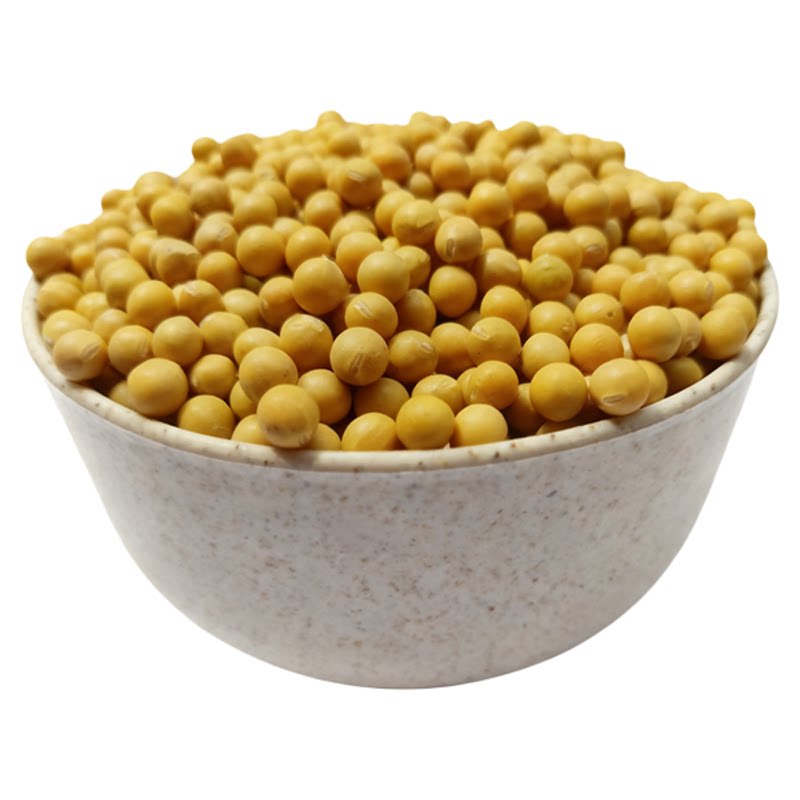 批量黄豆商用芽豆专用生豆芽黄豆