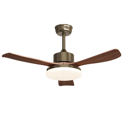 极有家品质工厂风更大灯更亮