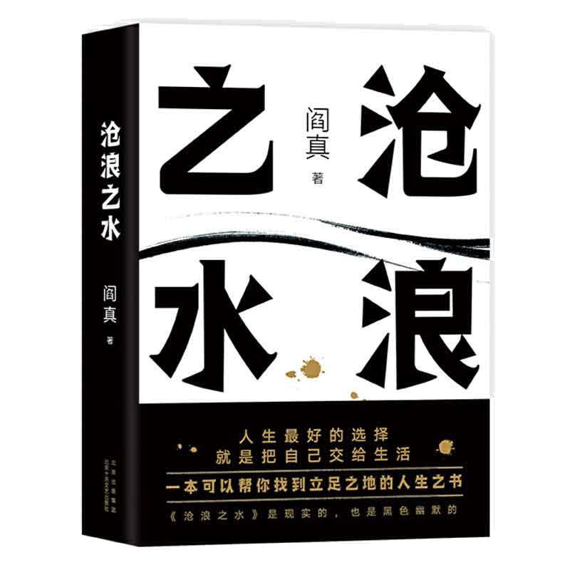 【当当网正版书籍】沧浪之水阎真著经典官场小说现当代小说活着之上短篇长篇小说官场职场畅销书籍排行榜茅盾文学奖提名