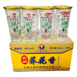 云南荞郷荞花香酒云粮中烧 小荞酒 苦荞42度 46mlX12杯纯粮小酒