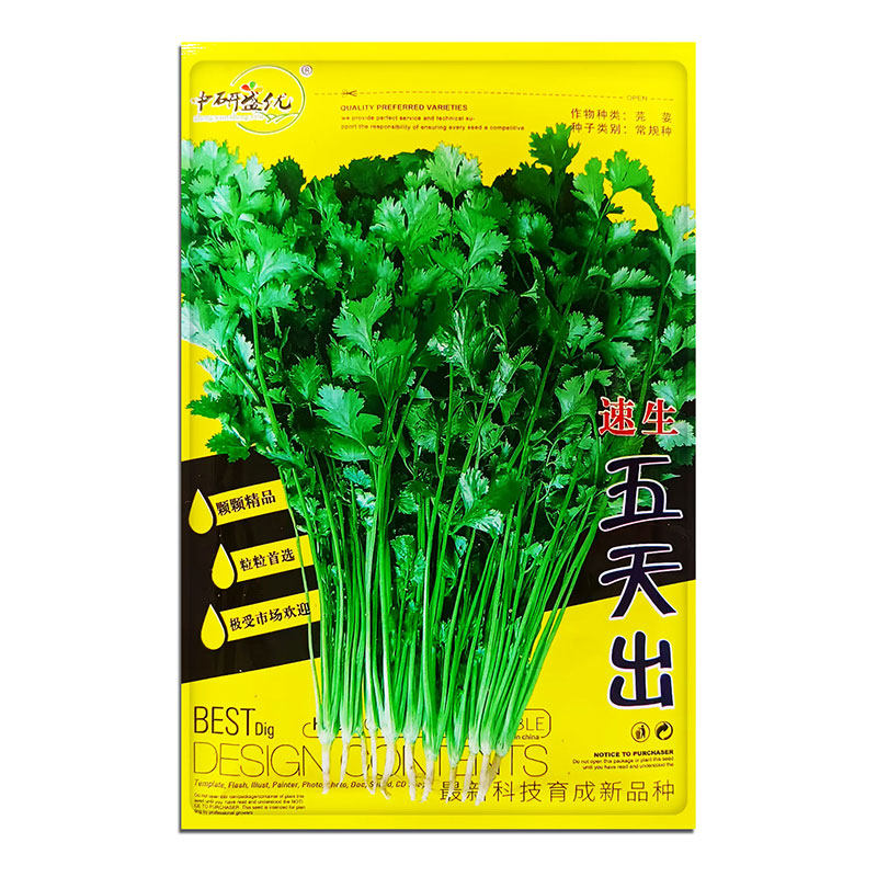 蔬菜种子大包四季播种