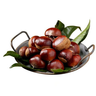 板栗生新鲜沂蒙山老树生栗子即食野生油板栗当季黄心油栗子非锥栗