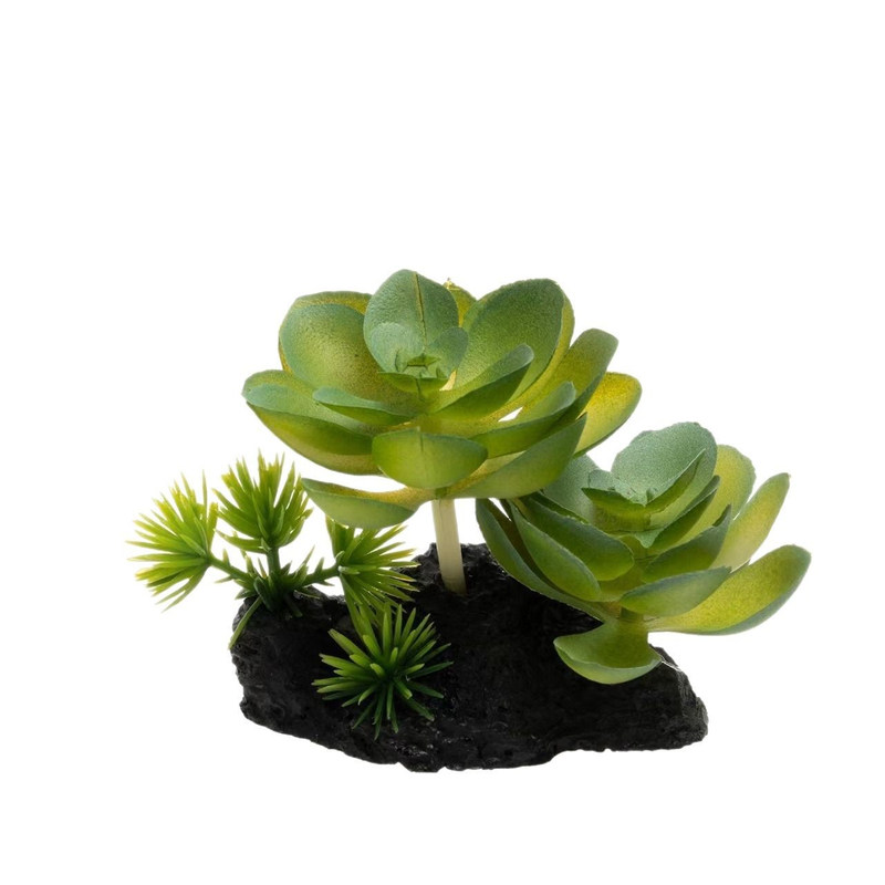 爬宠缸绿植造景仿真树脂摆件