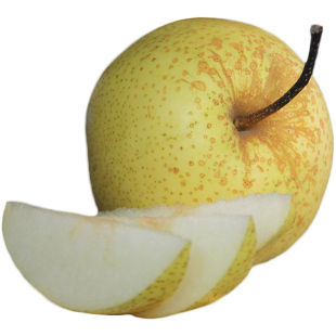 正宗雪梨河北赵县赵州雪花梨5斤新鲜水果烤梨子梨水川贝秋梨膏