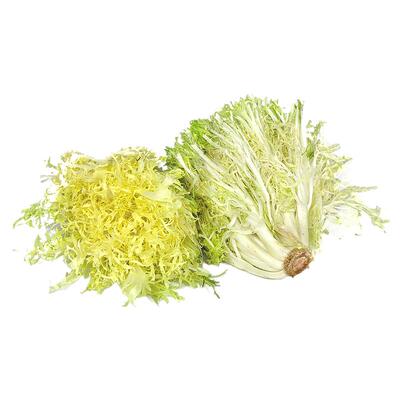新鲜苦细叶沙拉蔬菜食材