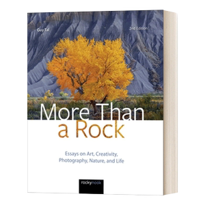 英文原版 More Than a Rock 2nd Edition 不止一块石头 第二版 关于艺术 创意 摄影 自然和生活的文章 进口英语原版书籍