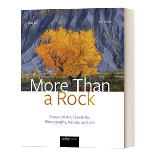 英文原版 More Than a Rock 2nd Edition 不止一块石头 第二版 关于艺术 创意 摄影 自然和生活的文章 进口英语原版书籍